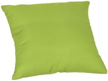 TRP Macaw Lime Green Reversible Square Throw Pillow 18x18 Inches