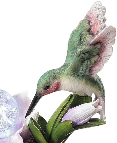 Benjara 11 Inch Hummingbird Tabletop Fountain with LED Light