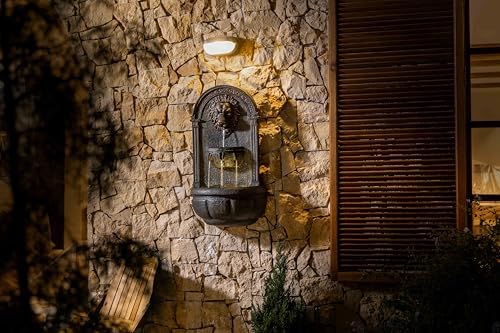 Lion Head Wall Fountain with LED Lights - Bronze