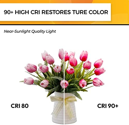 Hizashi 25 Watt Candelabra LED Bulbs 12 Pack