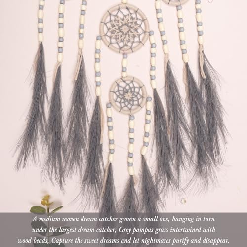 Pretty Jolly Pampas Grass Dream Catcher Wall Decor