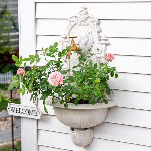Sungmor Wall Mounted Garden Sink with Lion Head Faucet