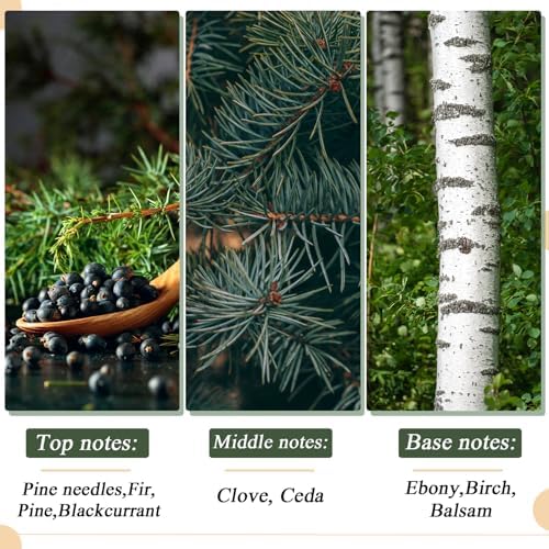 24PCS Scented Velvet Christmas Balls for Winter Decor
