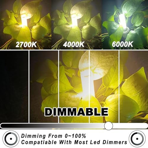 ALIDE E11 LED Bulbs 10W 1000LM Dimmable Warm White 2700K
