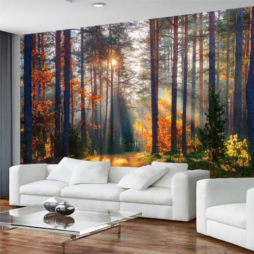 Autumn Sunshine in The Woods Wall Mural