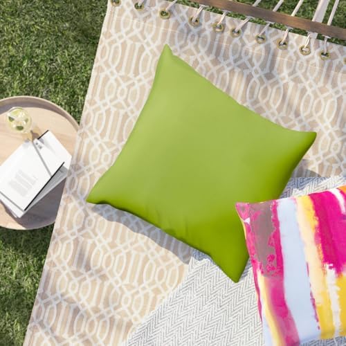 TRP Macaw Lime Green Reversible Square Throw Pillow 18x18 Inches