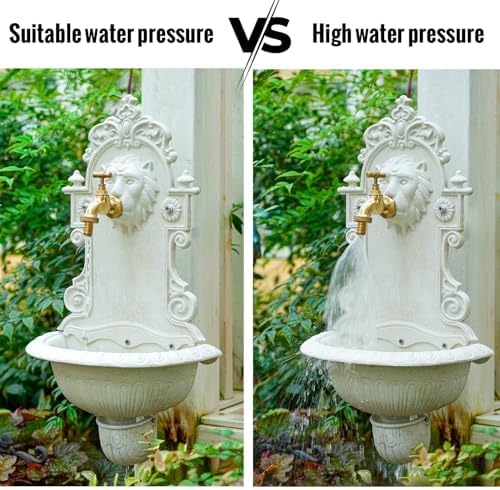 Sungmor Wall Mounted Garden Sink with Lion Head Faucet