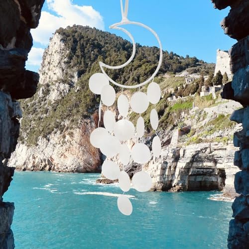 Pretty Jolly Small Outdoor Moon Dream Catcher Wind Chimes