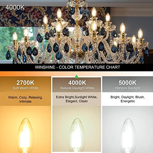 10 Pack Dimmable E12 LED Candelabra Bulbs 4W 4000K Natural Daylight
