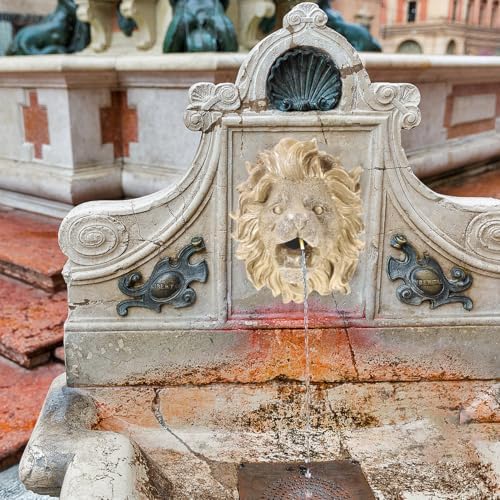 IMIKEYA Wall-Mount Garden Fountain Lion Head Sprayer Nozzle
