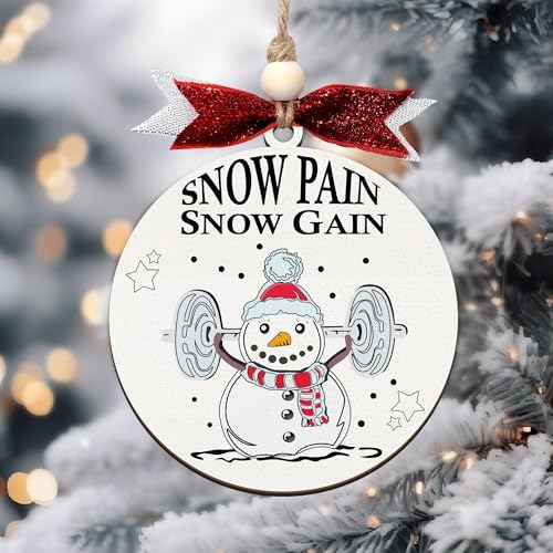 Snow Pain Snow Gain Gym Christmas Ornaments 2024
