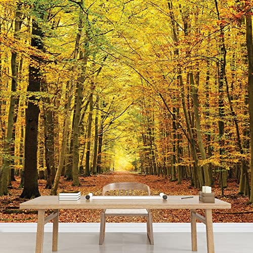 wall26 - A Pathway in an Autumn Forest Wall Mural