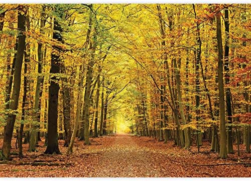 wall26 - A Pathway in an Autumn Forest Wall Mural
