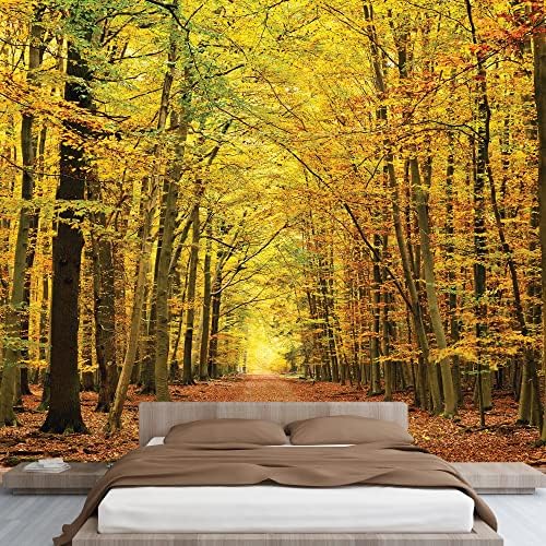 wall26 - A Pathway in an Autumn Forest Wall Mural